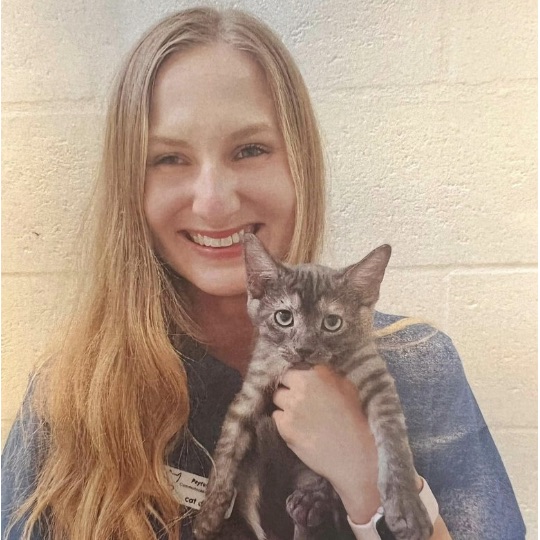 If you Love Cats This Episode is for You with Payton Davis Cat Depot Episode 068 Sarasota